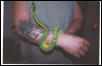 new pic of male etb