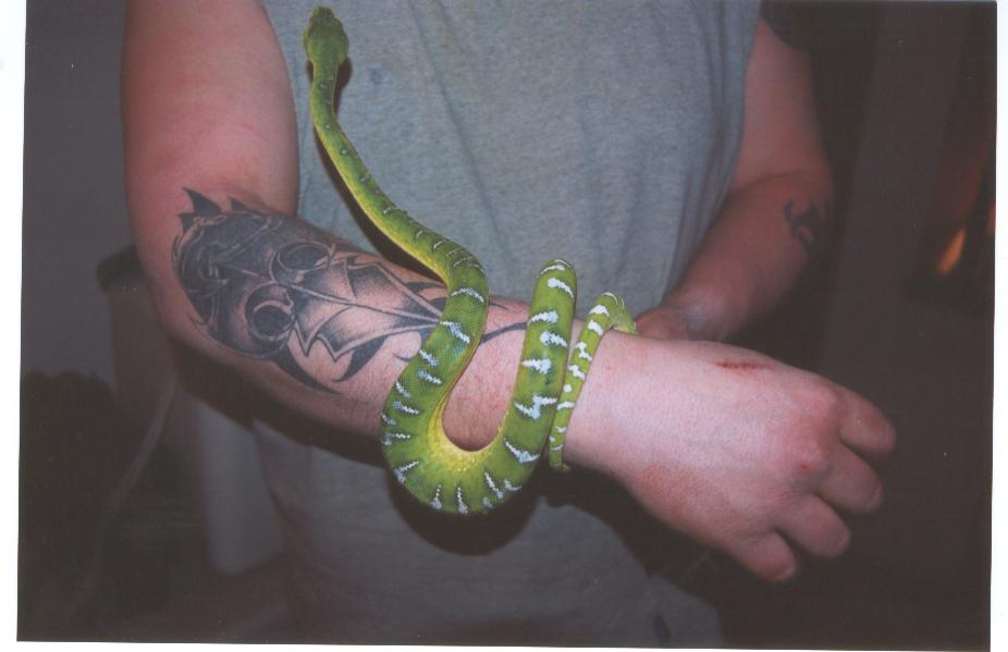 new pic of male etb