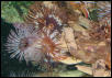Saltwater Photos