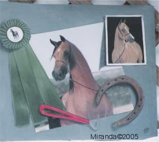 Show Still life