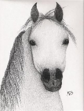 Pencil 3