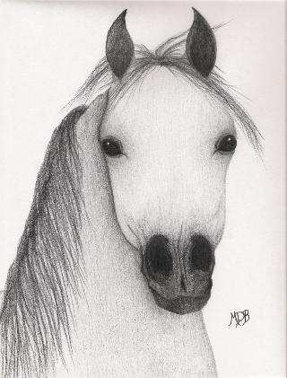 Pencil 3