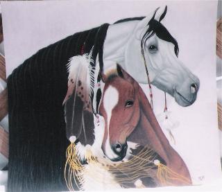Indian Mare and foal