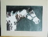 paint