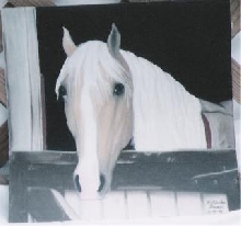 "Looking Out"