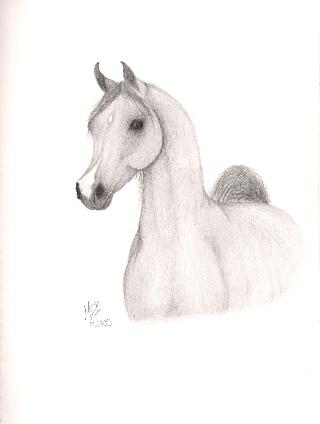 Pencil 17