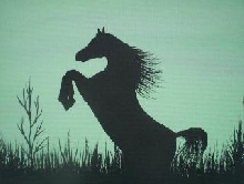 Spirit