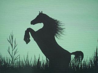 Spirit