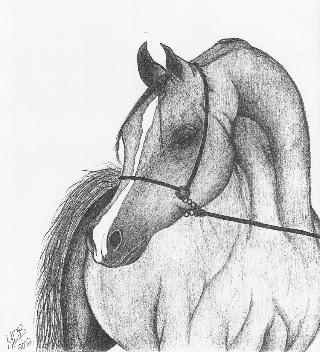 Pencil 6
