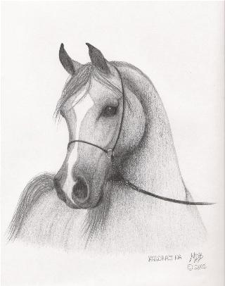 Pencil 8