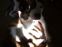 best friends