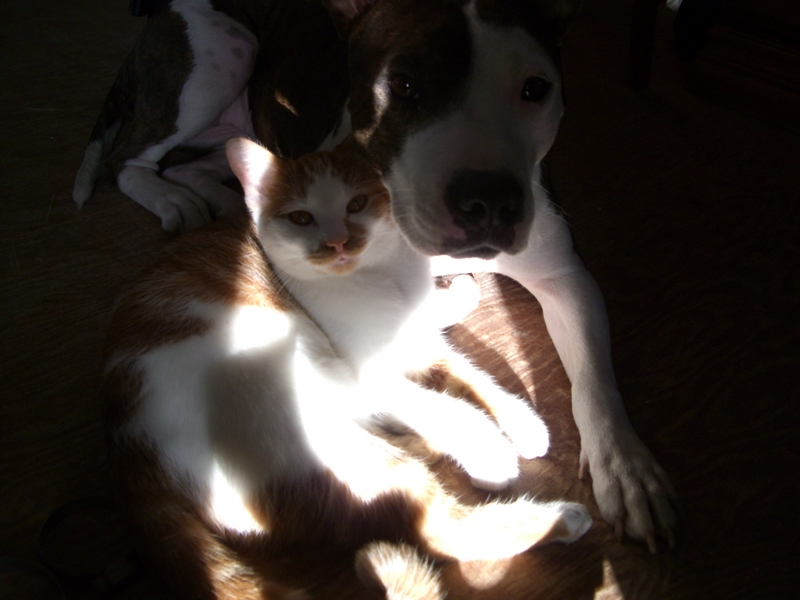 best friends