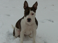 missy lou