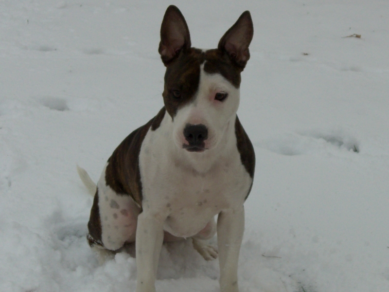 missy lou