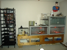 My new setup
