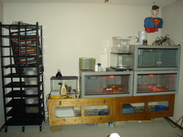 My new setup