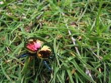 What is this?