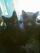 My sisters; Tatiana & Nala