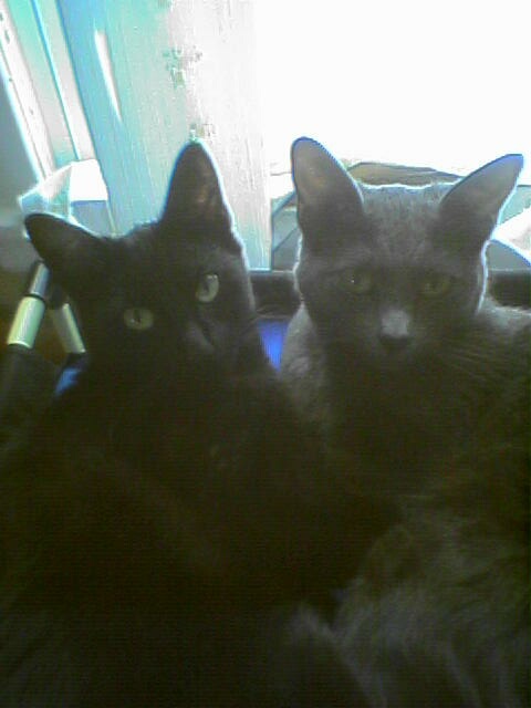My sisters; Tatiana & Nala