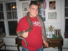 argentine boa