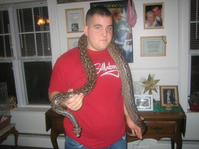 argentine boa