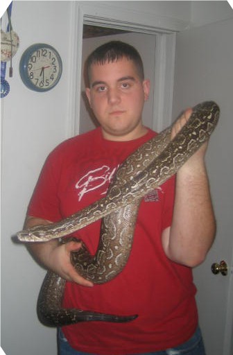 me and my possible gravid argentine boa