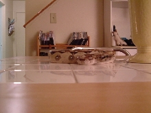 uknown boa?