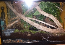 White's tank