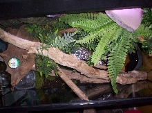 top view