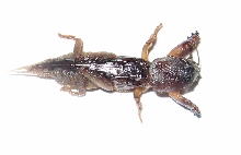 what is it?? 1/4