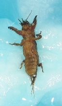 what is it?? 2/4
