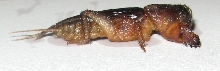 what is it?? 3/4