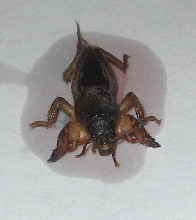 what is it?? 4/4