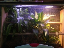 GTP cage