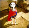 halloween 02