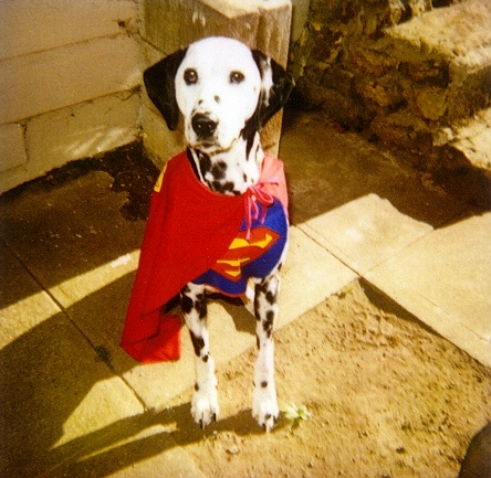 halloween 02