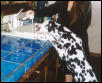 drinking water
