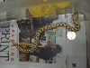 2C3-06 female