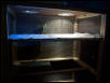 Tempest's new home