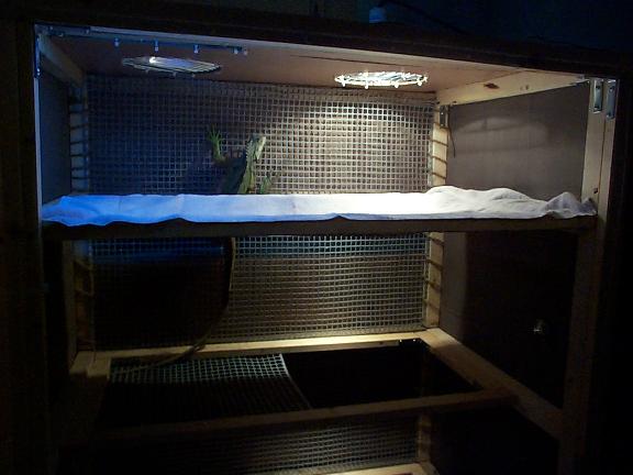 Tempest's new home