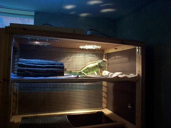 Tempest's new home