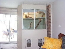 Front of Tempest's cage