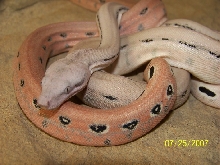 Test 3