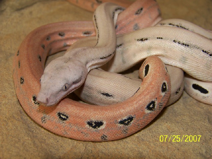 Test 3