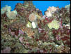 Saltwater Photos