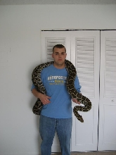 My Bro and Stewie