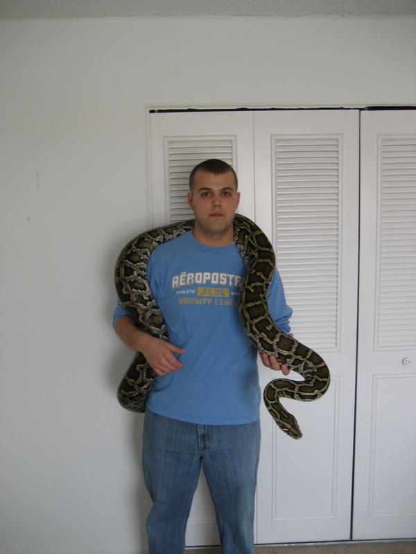 My Bro and Stewie