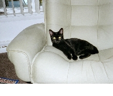 Lucy Lu