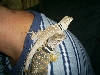 My little ones!!! Lucy and Zeus.