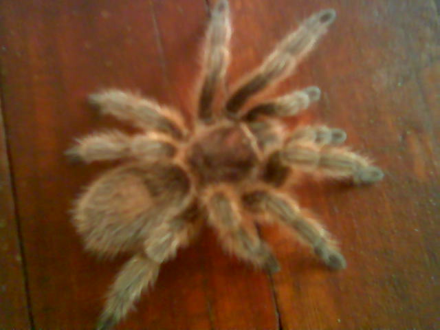 Nice picture of Chuck